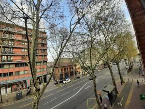a view of a city street with buildings and trees at Appartement Pont des Catalans in Toulouse