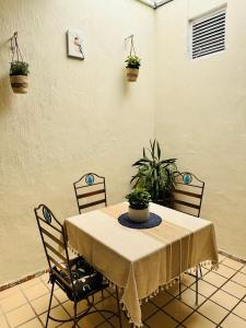 Fotografie z fotogalerie ubytování Casa Valentía v destinaci Tequila