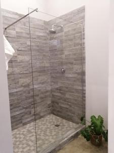 a shower with a glass door with a stone wall at Cooper Cottage in Howick +10 photos
