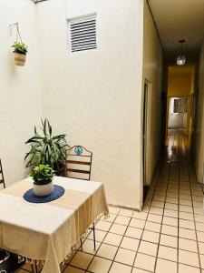 Fotografie z fotogalerie ubytování Casa Valentía v destinaci Tequila
