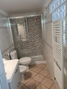 een badkamer met een toilet, een wastafel en een douche bij Beautiful loft-Località Le Grazie- Comune Portovenere in Portovenere