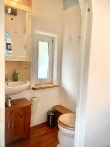a bathroom with a toilet and a sink at Kleine Kunstremise mit Holzofen Burg Freienfels in Weinbach +34 photos