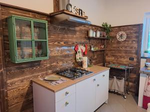 uma cozinha com paredes de madeira e um fogão em I Due Ulivi em Piana Battolla