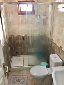 La salle de bains est pourvue d'une douche, de toilettes et d'un lavabo. dans l'établissement location İstanbul, à Istanbul