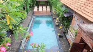 an overhead view of a swimming pool in a garden at Buana Ubud Inn in Ubud