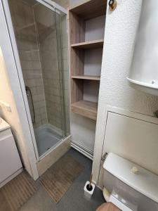 y baño pequeño con ducha y aseo. en Nice & cozy apartment facing the gondola - LA BOULE DE NEIGE 112 en Les Contamines-Montjoie