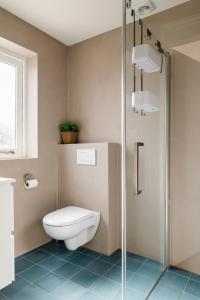 a bathroom with a toilet and a glass shower at Strandhuis de Zeeparel met hottub in Petten