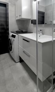 cocina con lavadora y fregadero en URBAN VILLA APARTMENT en Opatija