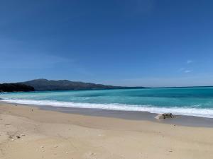 a dog laying on a beach near the ocean at Villas Ermali in Ksamil
