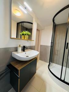 a bathroom with a sink and a shower and a mirror at Apartment Rheingold in Schwabach