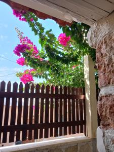 Vonkajšia záhrada v ubytovaní casa di nonna