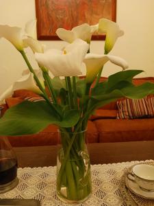 Posedenie v ubytovaní casa di nonna
