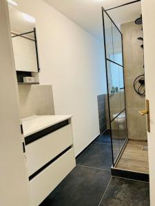 een badkamer met een inloopdouche en een wastafel bij Apartment Goldschmied in Schwabach