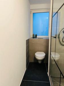 een badkamer met een toilet en een raam bij Apartment Goldschmied in Schwabach