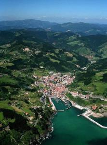 una vista aérea de una ciudad y un río en Apartamento Mauleon 5, en Mutriku