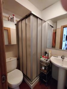 een badkamer met een douche, een toilet en een wastafel bij Precioso apartamento con jardín in Prellezo