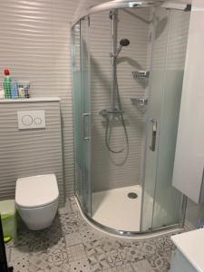 a bathroom with a shower and a toilet at AU COEUR DE LA PUISAYE TOUT PRES DE GUEDELON in Saint-Amand-en-Puisaye