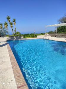 卡帕喬－帕埃斯圖姆的住宿－Camera Vista Capri，一座种植了棕榈树的蓝色游泳池