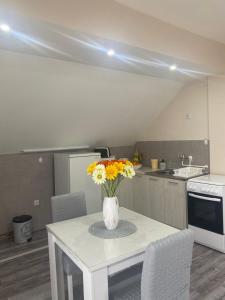 Eldhús eða eldhúskrókur á Apartment "JONA "