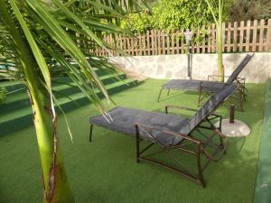 two chairs on a lawn with a palm tree at Holiday Home El Brezal in El Palmital