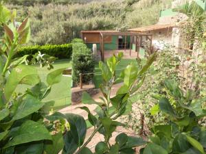 A garden outside Holiday Home El Brezal
