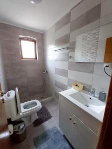 a bathroom with a white toilet and a sink at The Stone House in Përmet