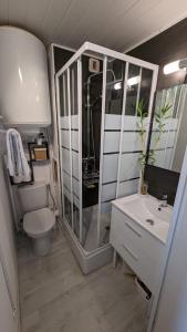 a bathroom with a shower and a toilet and a sink at appartement T2 biscarosse plage in Biscarrosse-Plage