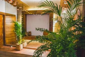 Zahrada ubytování Boho's Hotel