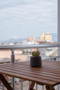 een kleine plant op een houten tafel op een balkon bij Erik's Place in Shkodër