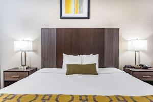 a large bed in a hotel room with two lamps at Baymont by Wyndham Midway Tallahassee in Midway +37 photos