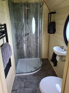 e bagno con doccia, servizi igienici e lavandino. di Spring Tide Cliff Top Glamping Pod with direct Sea Views a Birchington