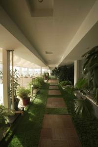 Giardino di Hotel Pal Heights