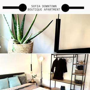 a living room with a couch and a plant at Sofia Downtown Boutique Apartment in Sofia