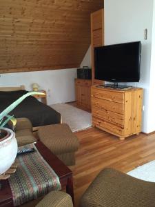 TV a/nebo společenská místnost v ubytování Sirály Apartman