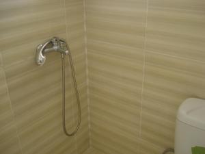 a shower in a bathroom with a toilet at GOLDEN BEACH in Souvala