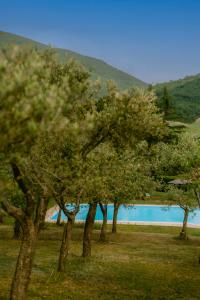 een groep bomen voor een waterlichaam bij Tenuta delle Rose - Country House in Piane