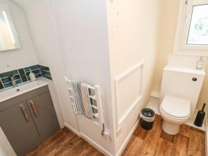 a bathroom with a toilet and a sink at Flat 6 in Falmouth