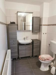 a bathroom with a sink and a toilet and a mirror at Ferienwohnung Am Stadtrand Garz Rügen in Garz