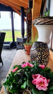 Zahrada ubytování The Barn - Aurora Hoeve - loft met jacuzzi