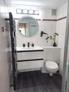 a bathroom with a sink and a toilet and a mirror at PERO in Eldenburg