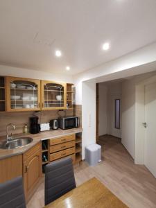 a kitchen with a sink and a counter top at Haus am Nymphensee2 in Brieselang