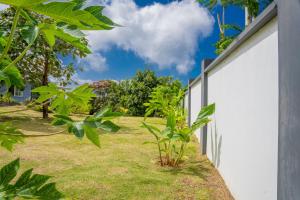 Zahrada ubytování Villa Mille Soleil