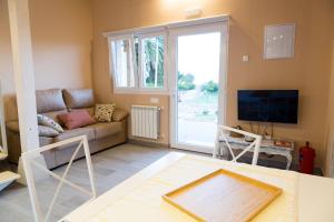 salon z kanapą i telewizorem w obiekcie Apartamentos Nordeste w mieście Trasierra