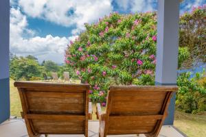 Zahrada ubytování Villa Mille Soleil