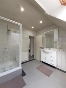 a bathroom with a shower and a sink and a tub at Ferienwohnung-Stricker-3-3 in Walkenried