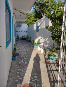 Zahrada ubytování Mi Bello Cozumel