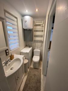 ein kleines Bad mit einem Waschbecken und einem WC in der Unterkunft Domek Okale in Kazimierz Dolny