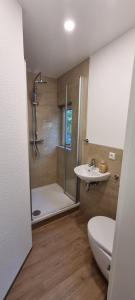 a bathroom with a shower and a toilet and a sink at Haus am Nymphensee3 in Brieselang