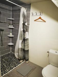 ein Bad mit einem Duschvorhang und einem WC in der Unterkunft Domaine de l'espérance, chambre rose in Bersaillin