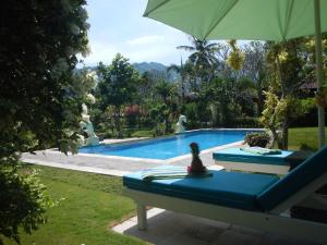 uma piscina com um banco azul e um guarda-chuva em Villa Campi Sorga em Senggigi